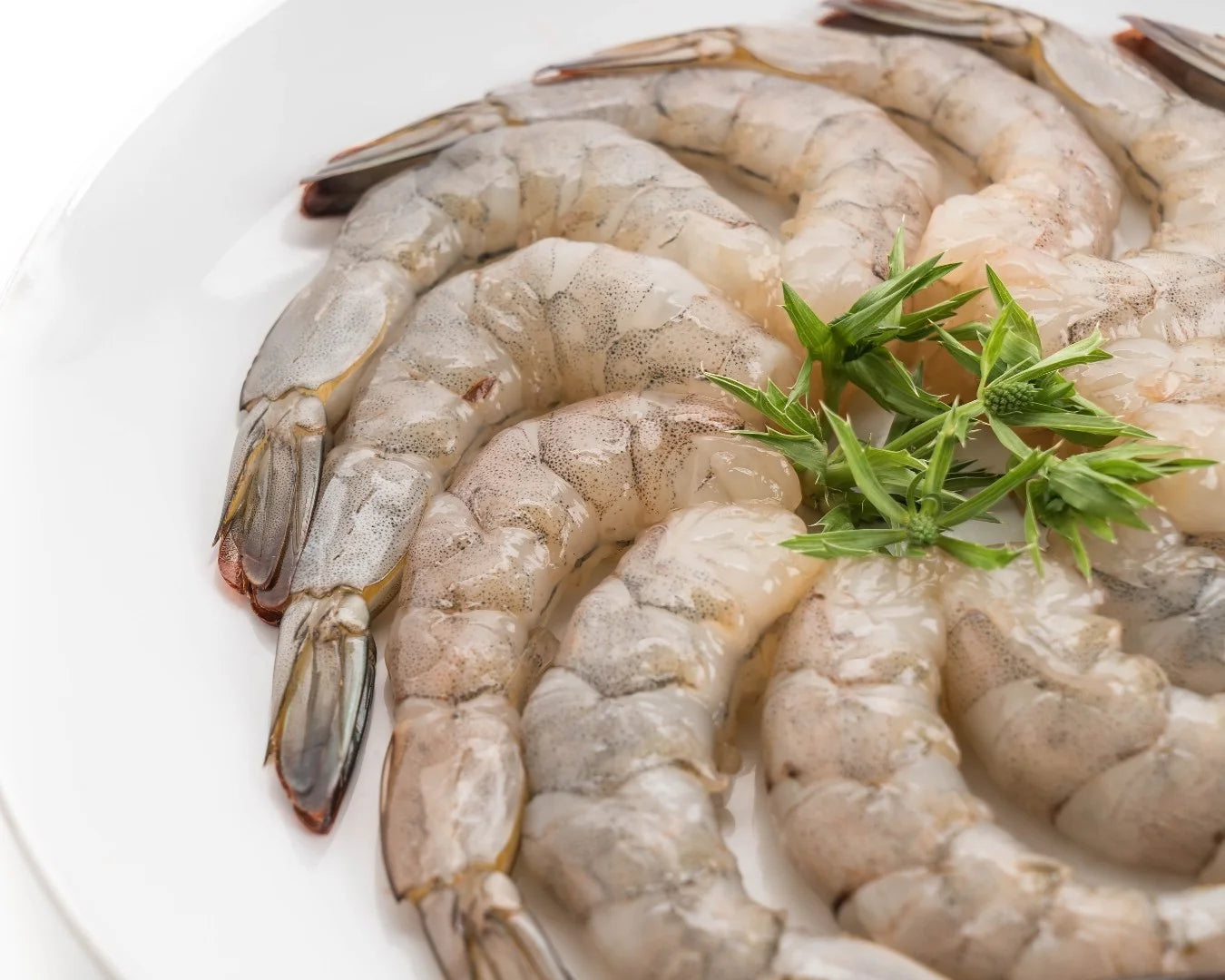 raw shrimp