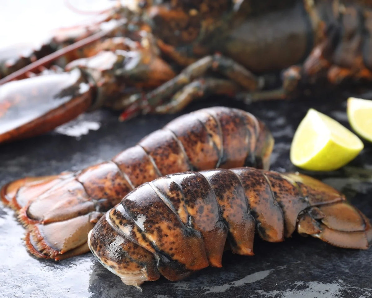 raw lobster