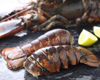 raw lobster