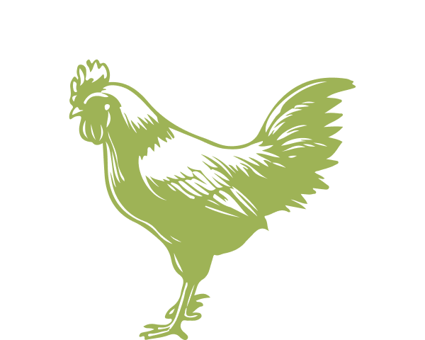 chicken icon