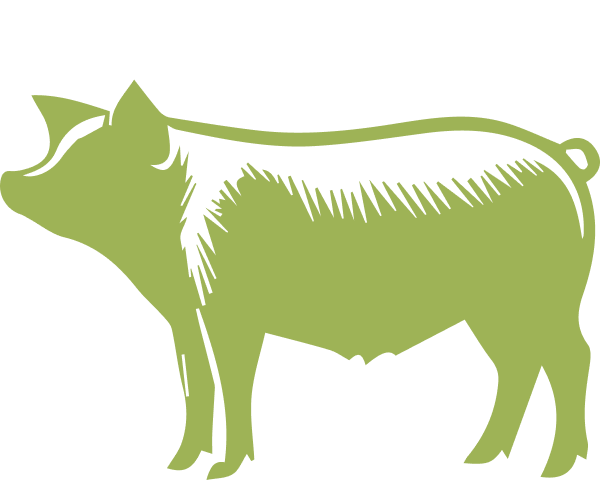 pork icon